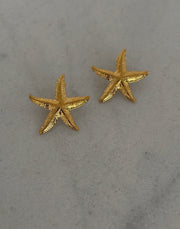 Marina Star