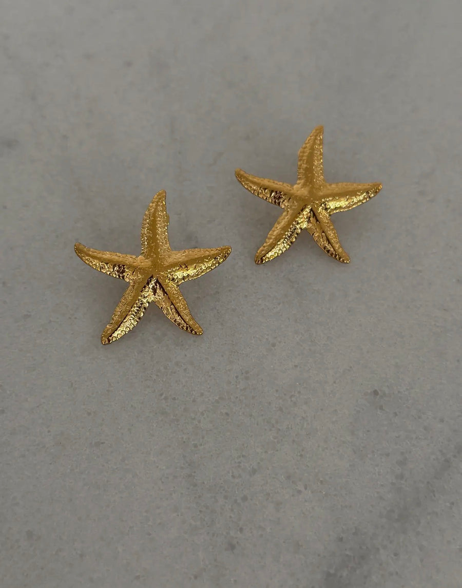 Marina Star